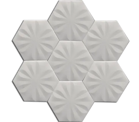 Hexagon Ceramic -0046