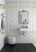 Hexagon Ceramic -0095
